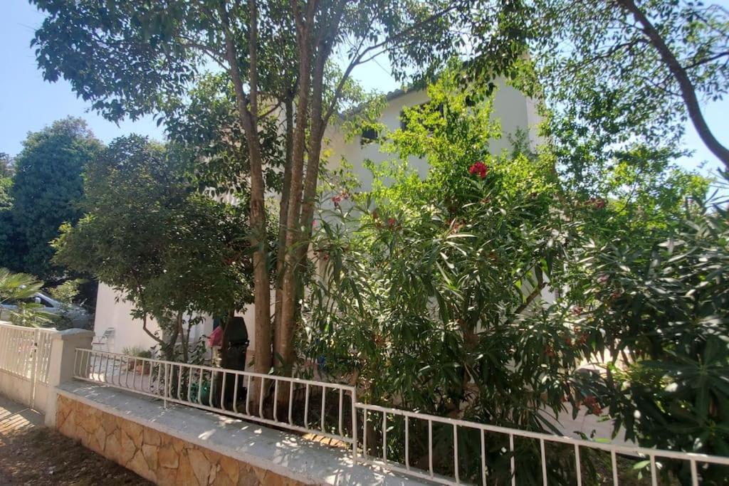 Casa Blanca, Biograd Na Moru Lejlighed Eksteriør billede