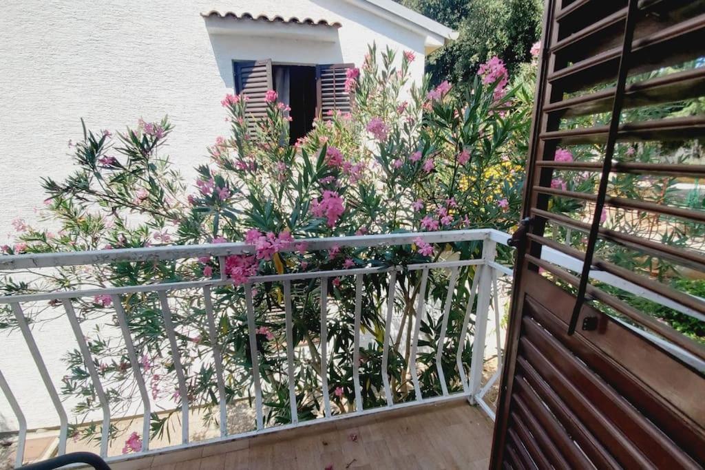 Casa Blanca, Biograd Na Moru Lejlighed Eksteriør billede